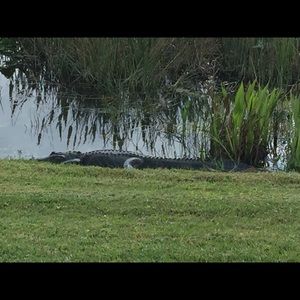 Meet your Posher, Donna